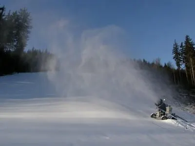 Daniela *